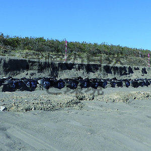 海岸の地形変化は早い