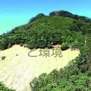 宮崎県内の山地荒廃と植物の状況