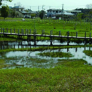 2024年度MRT環境賞SDGs環境大賞 松浦 勝次郎氏（川南湿原を守る会）町の宝「川南湿原」を未来につなぐ